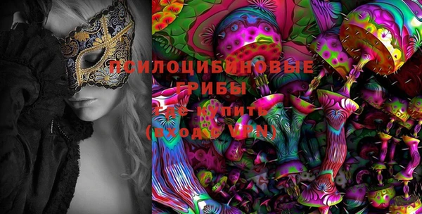 PSILOCYBIN Белокуриха